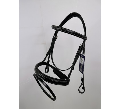 Leather Bridle 